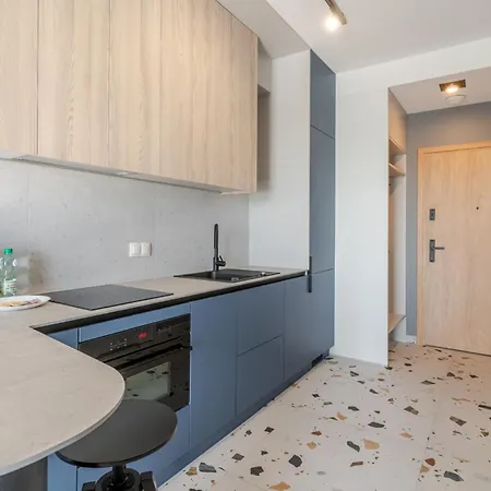 Global Park Navy By Bookinghost *