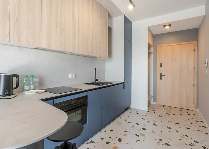 Global Park Navy By Bookinghost *